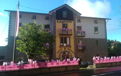 Hotel Capriolo