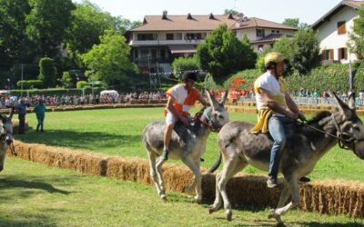 Palio degli Asini